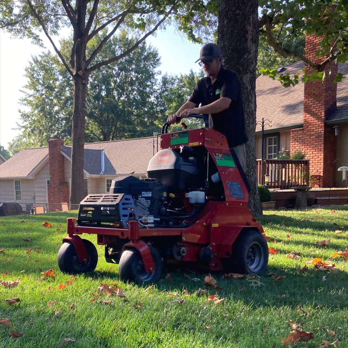 Lawn Aeration